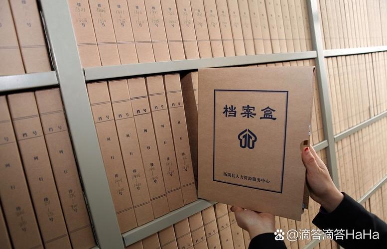 档案服务外包质量体系认证证书 承接档案服务外包的通行证与信任基石